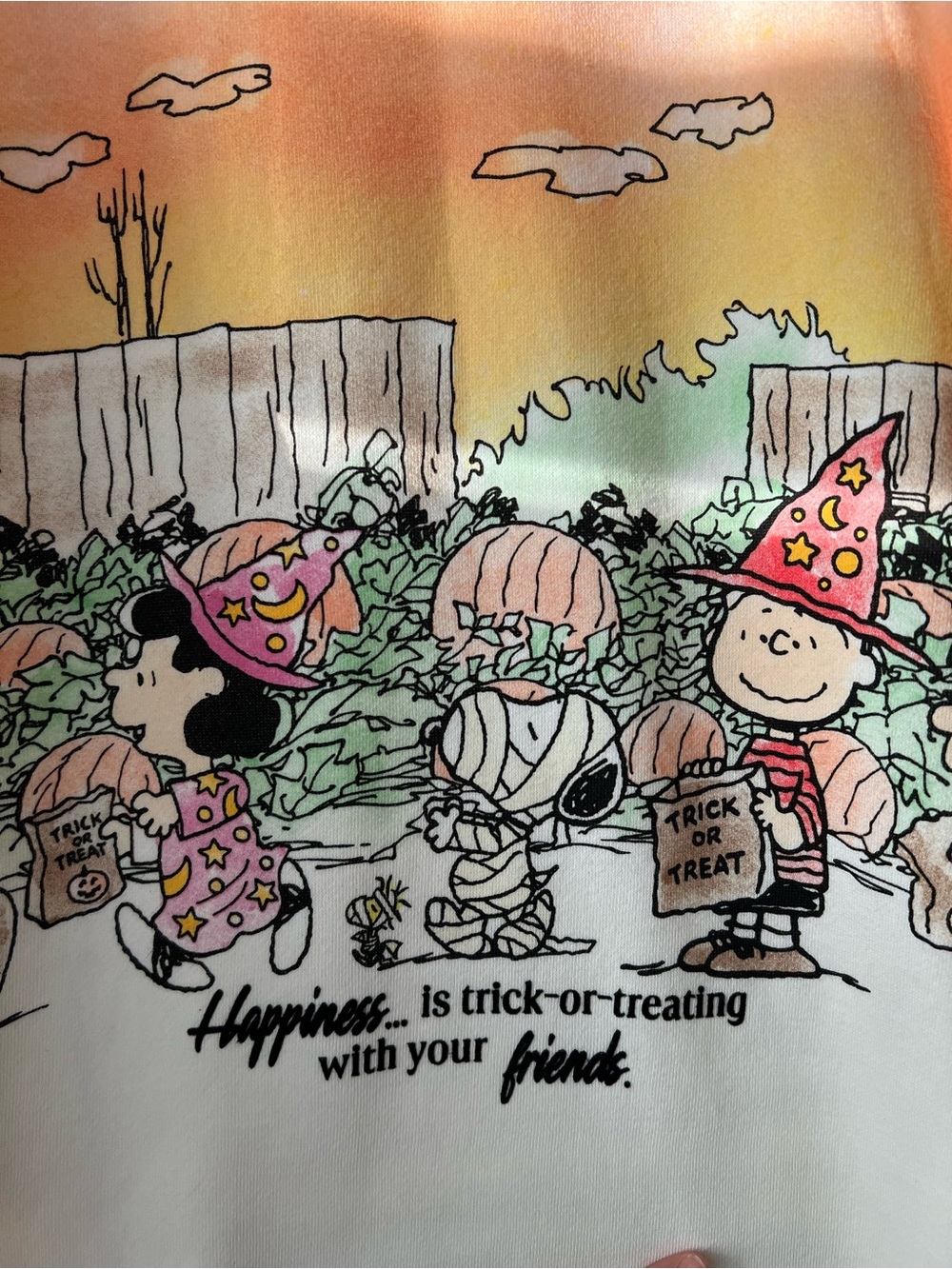Peanuts Gang Halloween Sunset Scene Sweatshirt - Picture 2 of 4